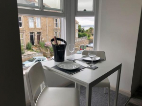 Newly Renovated Modern Studio Apartment